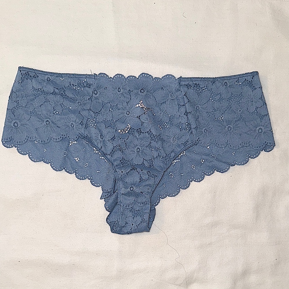 Victoria's Secret Floral Lace Panties in Blue